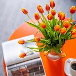 Hotel apartamentowy Ind.u 3*
